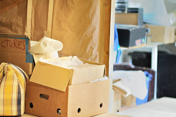 Best Same-Day Junk Removal  in Fort Meade, FL